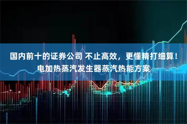国内前十的证券公司 不止高效，更懂精打细算！电加热蒸汽发生器蒸汽热能方案